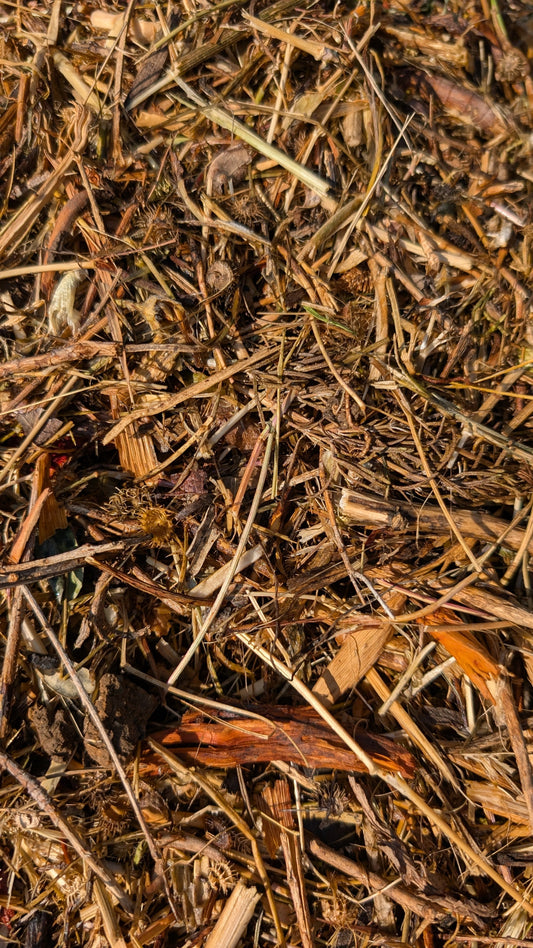 Nurturing Nature: How Regenerative Farming Transforms Our Soil at Althaea